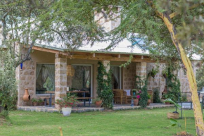 Jane guest house